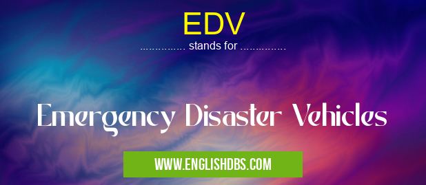 EDV