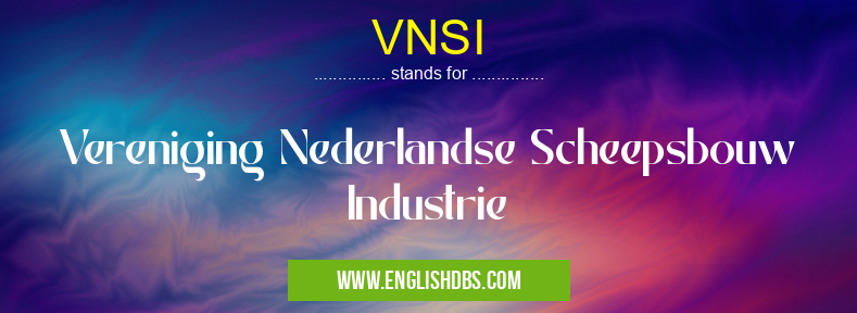 VNSI