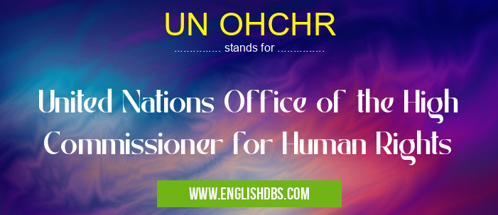 UN OHCHR