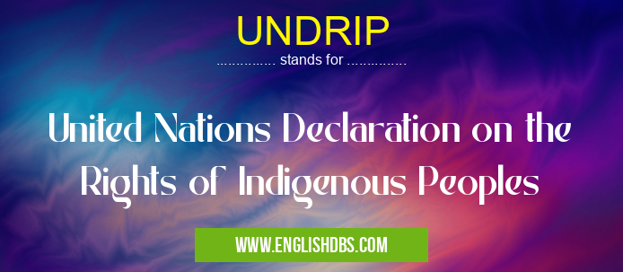 UNDRIP