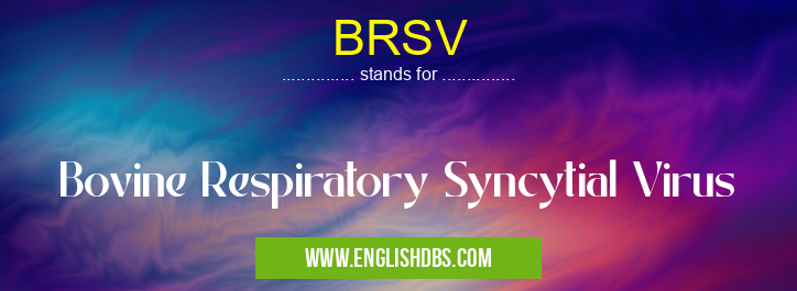 BRSV