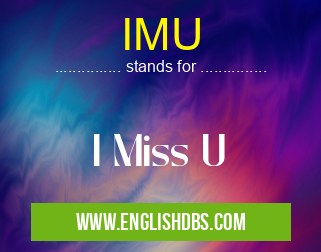 IMU