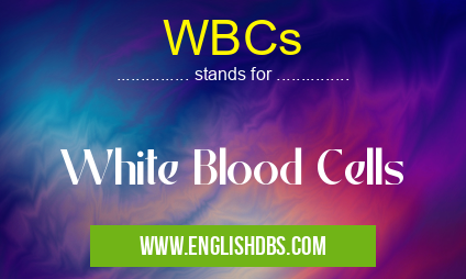 WBCs