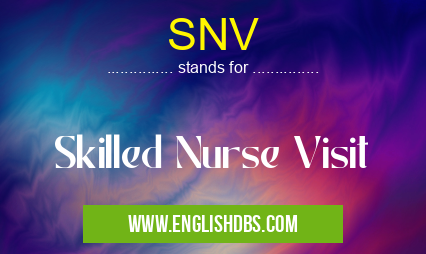 SNV