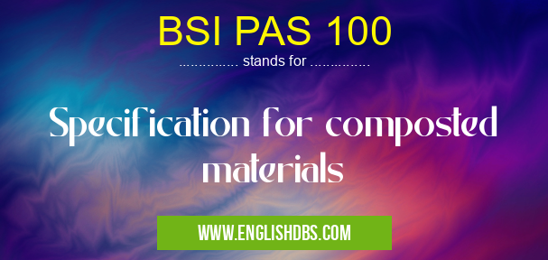 BSI PAS 100