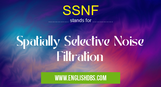 SSNF