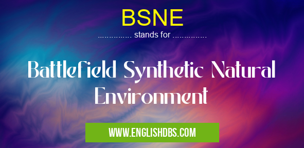 BSNE