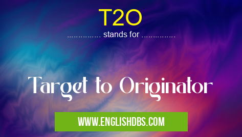 T2O