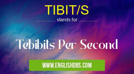 TIBIT/S