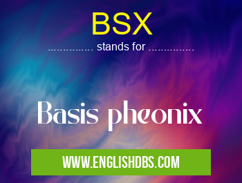 BSX