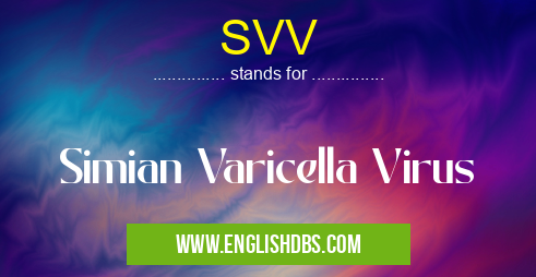 SVV