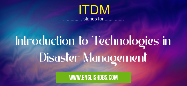 ITDM