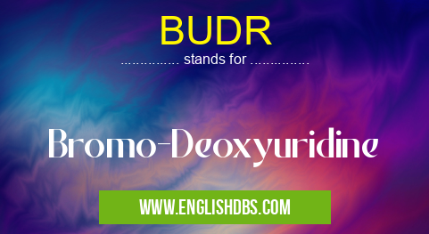 BUDR