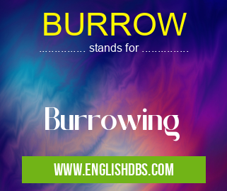 BURROW