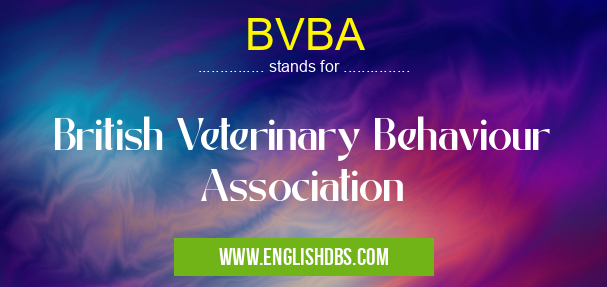 BVBA