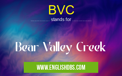 BVC