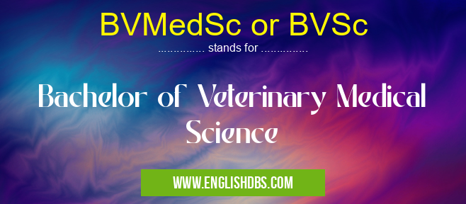 BVMedSc or BVSc