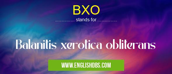 BXO