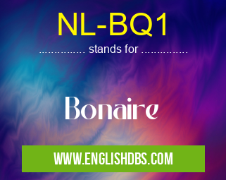 NL-BQ1