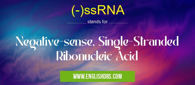 (-)ssRNA