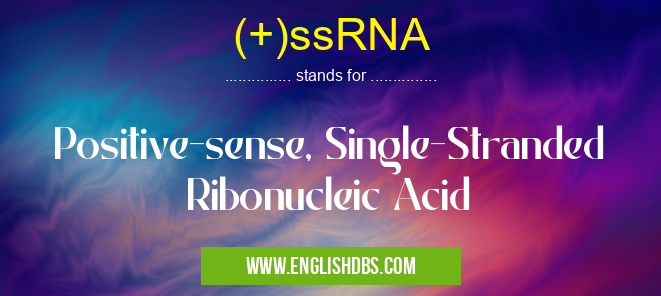 (+)ssRNA