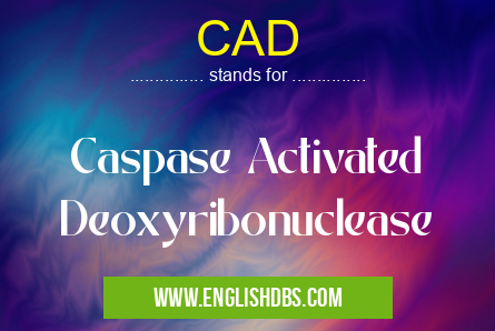 CAD