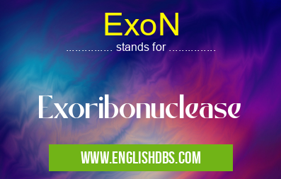 ExoN