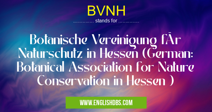 BVNH