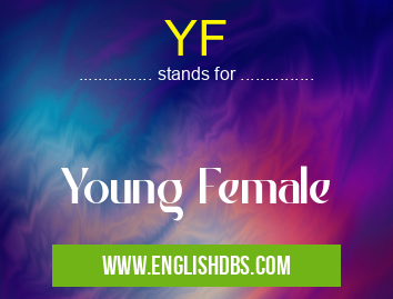 YF