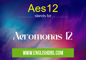 Aes12