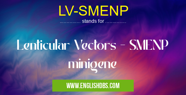 LV-SMENP