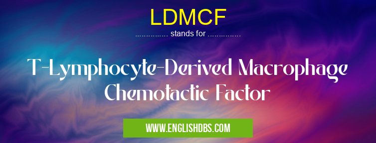 LDMCF