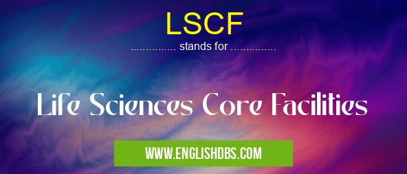 LSCF