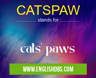 CATSPAW