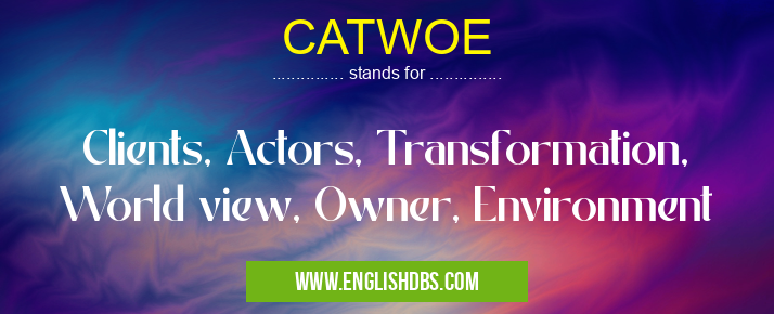 CATWOE