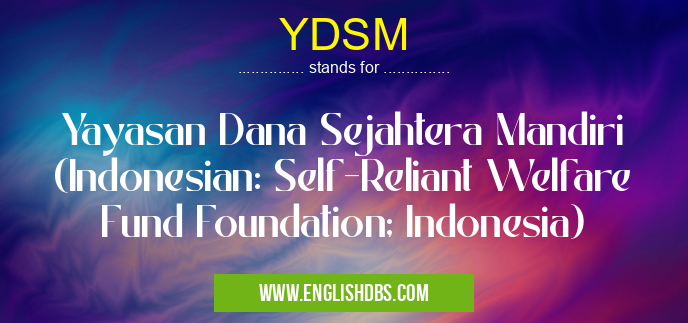 YDSM