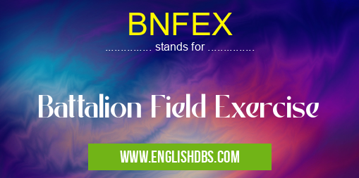 BNFEX