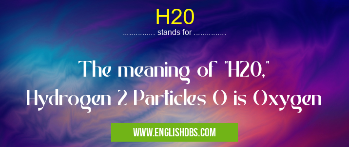 H20