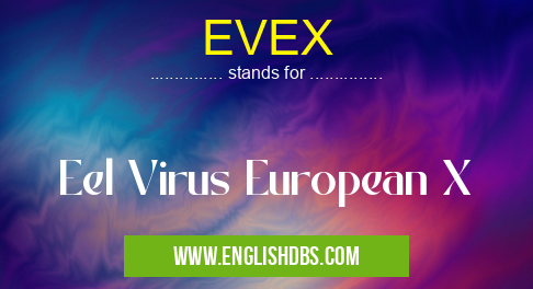 EVEX