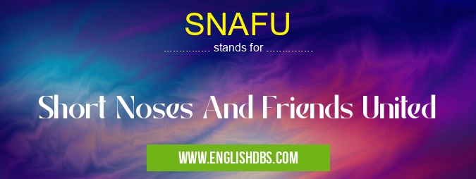 SNAFU