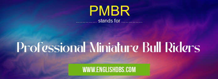 PMBR