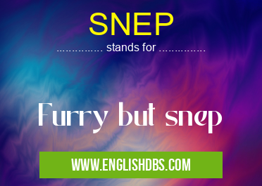 SNEP