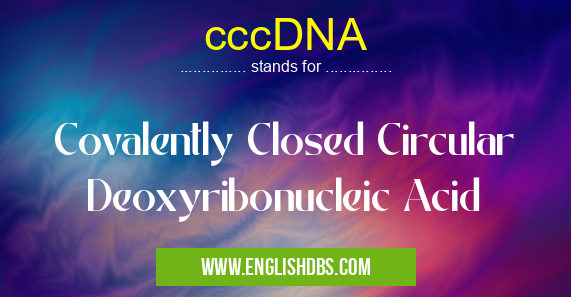 cccDNA