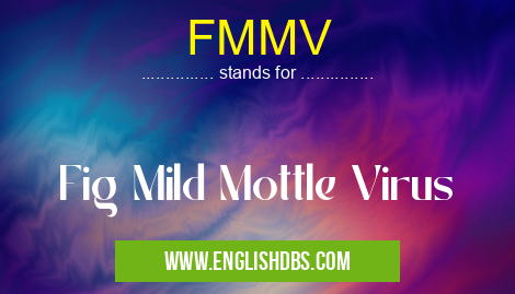 FMMV