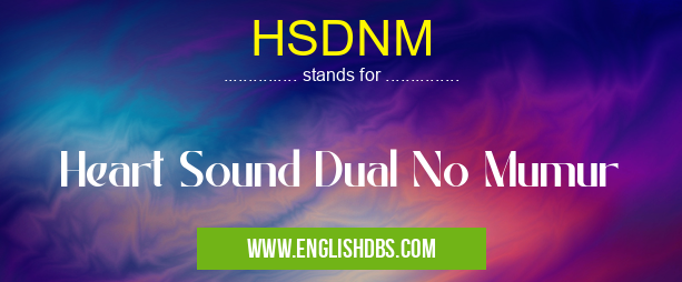 HSDNM