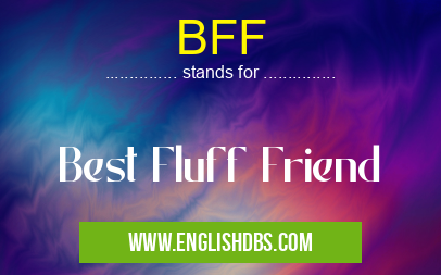 BFF