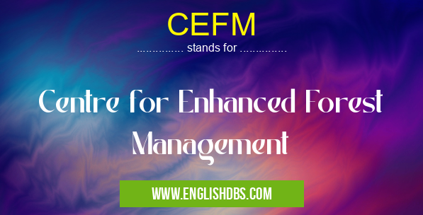 CEFM