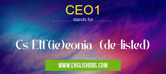 CEO1