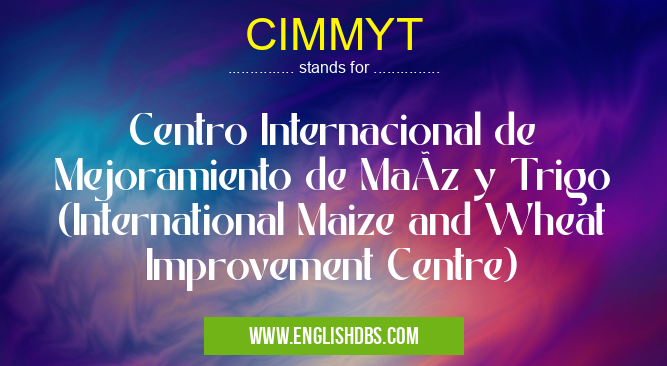 CIMMYT