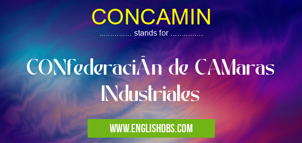 CONCAMIN